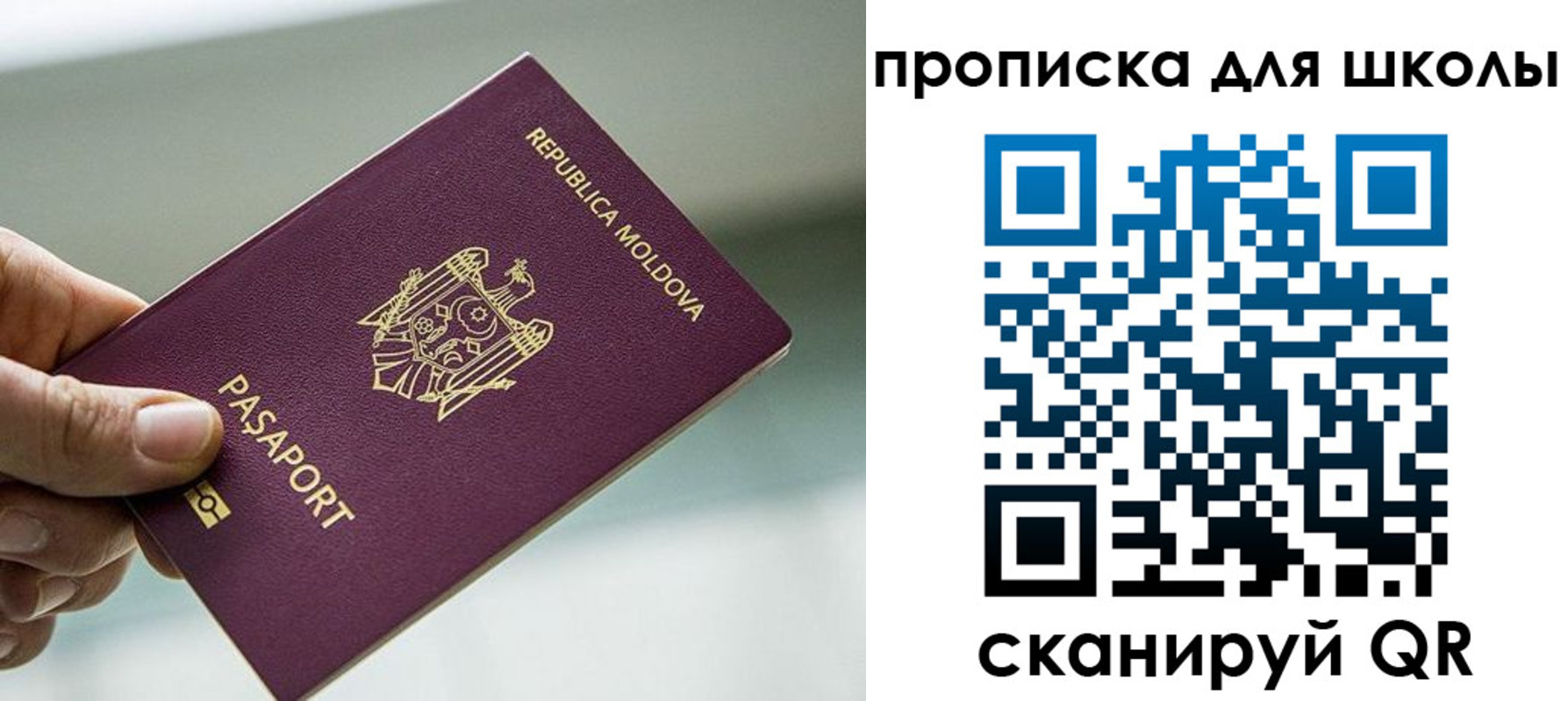 прописка в квартире в Алексеевке